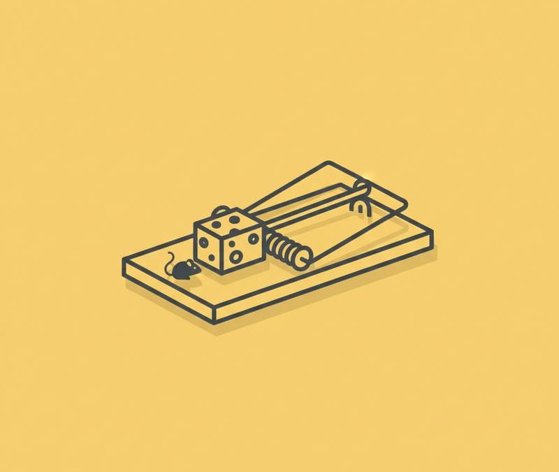 چگونه از شر موش‌های خانگی خلاص شویم؟ - چگونه از شر موش‌های خانگی خلاص شویم؟